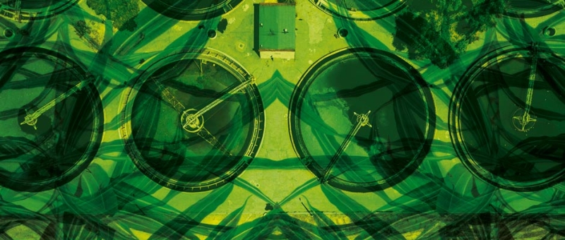 Cut of Cover